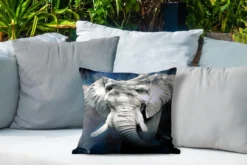 Coussin De Jardin - Éléphant - Fumée - Dents - 40x40 Cm - Résistant Aux Intempéries -Jardin Meubles Magasin 1200x800 585