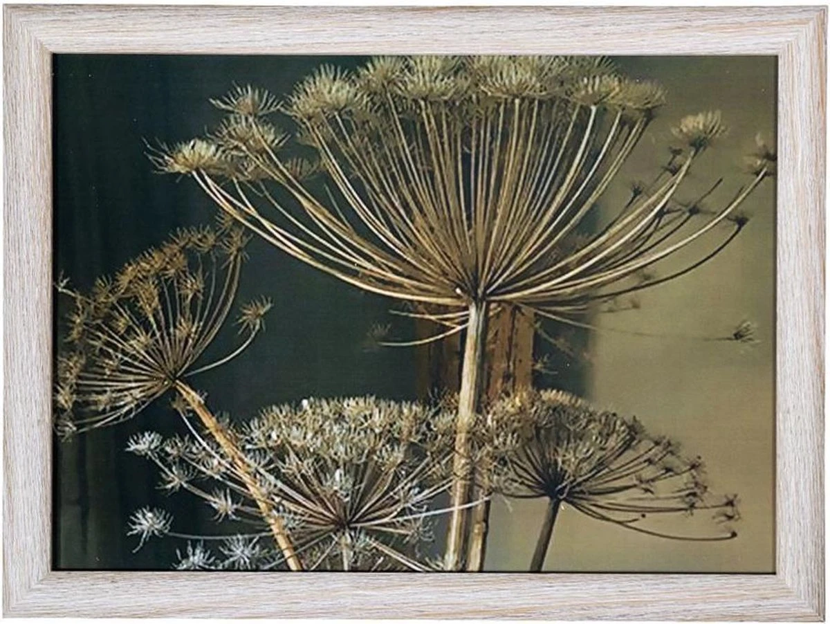 Set De 2x Coussins/sacs De Tour Imprimé Griffe D'ours 43 X 33 Cm - Table De Tour - Plateau Pour Griffes D'ours Sur Les Genoux 2 Set De 2x Coussins/sacs De Tour Imprimé Griffe D'ours 43 X 33 Cm - Table De Tour - Plateau Pour Griffes D'ours Sur Les Genoux – Image 2