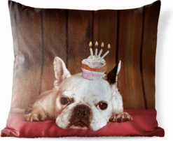 Coussins D'extérieur - Jardin - Bouledogue Français Avec Un Cupcake Sur La Tête - 50x50 Cm