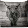 Sierkussen Extérieur - Scottish Highlander - Zwart - Wit - 60x60 Cm - Résistant Aux Intempéries