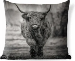 Sierkussen Extérieur - Scottish Highlander - Zwart - Wit - 60x60 Cm - Résistant Aux Intempéries