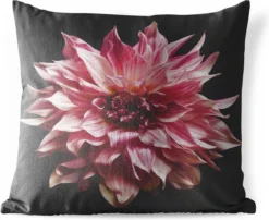 Coussins D'extérieur - Jardin - Fleur De Dahlia Rose Sur Fond Noir - 50x50 Cm