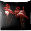 Coussins D'extérieur - Jardin - Groupe De Flamants Roses Sur Fond Noir - 45x45 Cm
