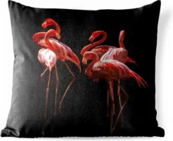 Coussins D'extérieur - Jardin - Groupe De Flamants Roses Sur Fond Noir - 45x45 Cm