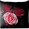 Sierkussen Rose Rose Pour L'extérieur - Une Photo De Roses Roses Sur Fond Noir - 45x45 Cm - Coussin De Jardin Carré Résistant Aux Intempéries / Coussin De Mobilier De Jardin En Polyester