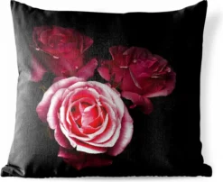Sierkussen Rose Rose Pour L'extérieur - Une Photo De Roses Roses Sur Fond Noir - 45x45 Cm - Coussin De Jardin Carré Résistant Aux Intempéries / Coussin De Mobilier De Jardin En Polyester