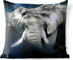 Coussin De Jardin - Éléphant - Fumée - Dents - 40x40 Cm - Résistant Aux Intempéries