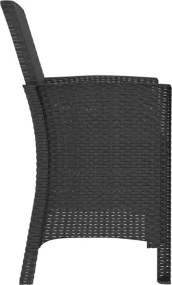 Prolenta Premium - Chaise De Jardin Avec Kussen Polypropylène Rotin Couleur Graphite -Jardin Meubles Magasin 726x1200 2