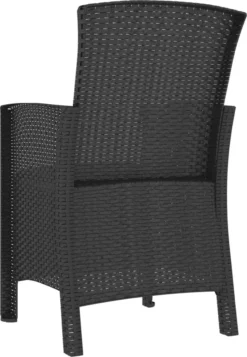 Prolenta Premium - Chaise De Jardin Avec Kussen Polypropylène Rotin Couleur Graphite -Jardin Meubles Magasin 830x1200