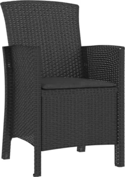 Prolenta Premium - Chaise De Jardin Avec Kussen Polypropylène Rotin Couleur Graphite -Jardin Meubles Magasin 846x1200 3