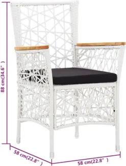 Prolenta Premium - Chaises De Jardin De Jardin 2 Pcs Avec Coussins Poly Rotin Gris -Jardin Meubles Magasin 914x1200 1